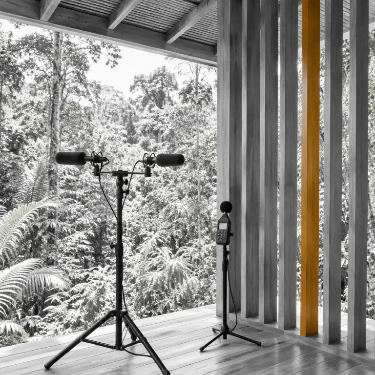 The Sound Bath the Amazon Already Provides: How Lodges Are Designing Around the Forest's Own Acoustics
