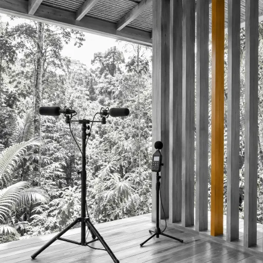 The Sound Bath the Amazon Already Provides: How Lodges Are Designing Around the Forest's Own Acoustics